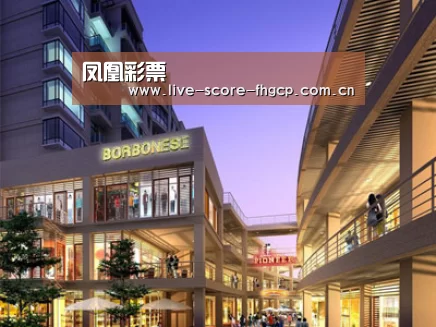 案例展示一(图1)