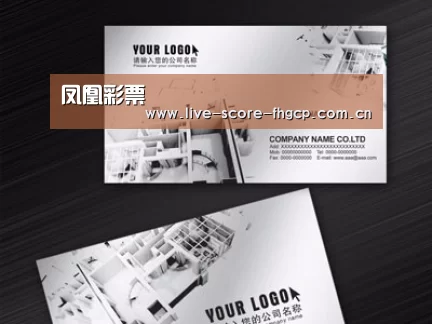项目名称五