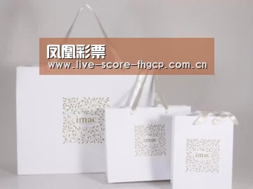 项目名称十一