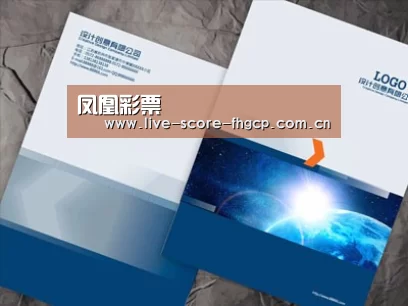 项目名称十