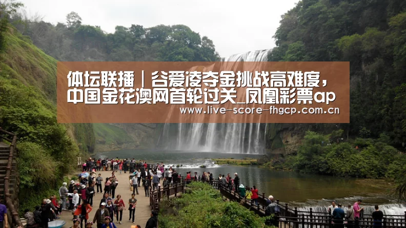 凤凰彩票网