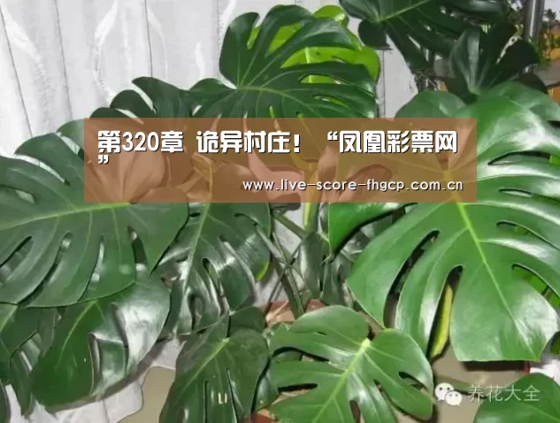 第320章 诡异村庄!“凤凰彩票网”(图2) 凤凰彩票网