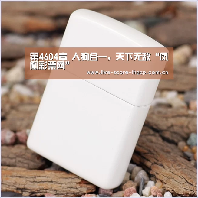 凤凰彩票网