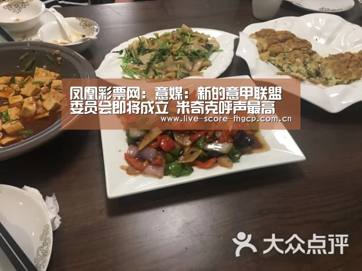 凤凰彩票网:意媒:新的意甲联盟委员会即将成立 米奇克呼声最高(图2) 凤凰彩票app下载