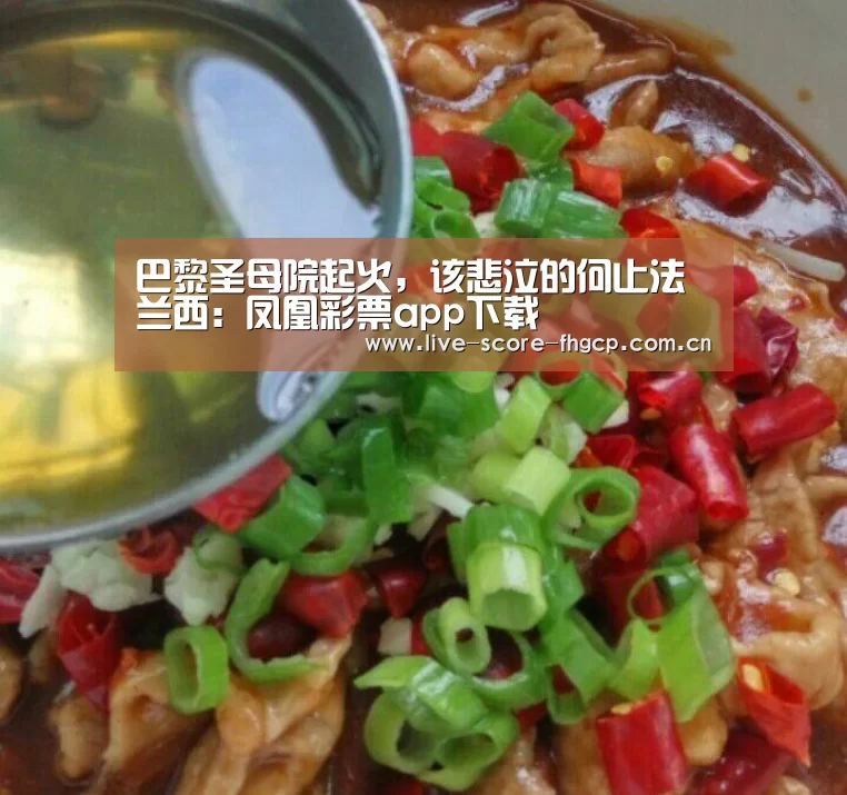 凤凰彩票网