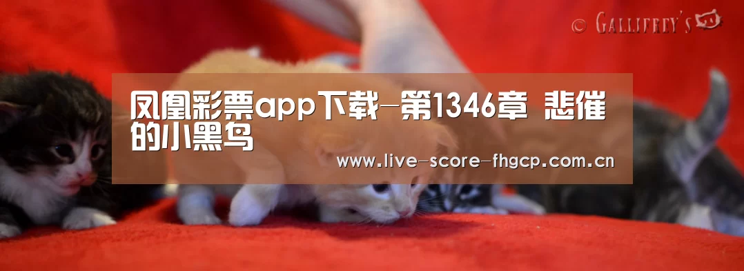 凤凰彩票app下载